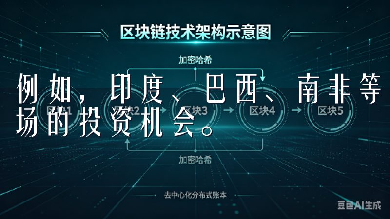 例如，印度、巴西、南非等国向国际投资者提供了不同于发达市场的投资机会。
