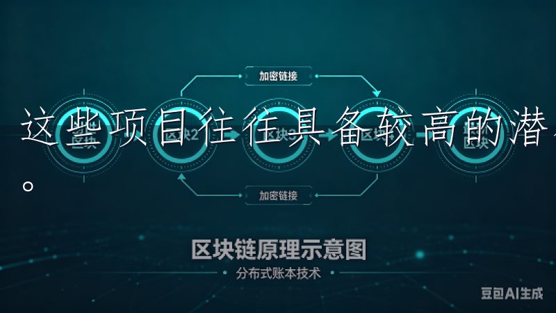 这些项目往往具备较高的潜在收益，但同时也伴随着较大的风险。